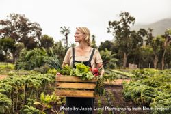 Happy young woman holding a box with fresh produce in her vegetable garden 5rWaP4