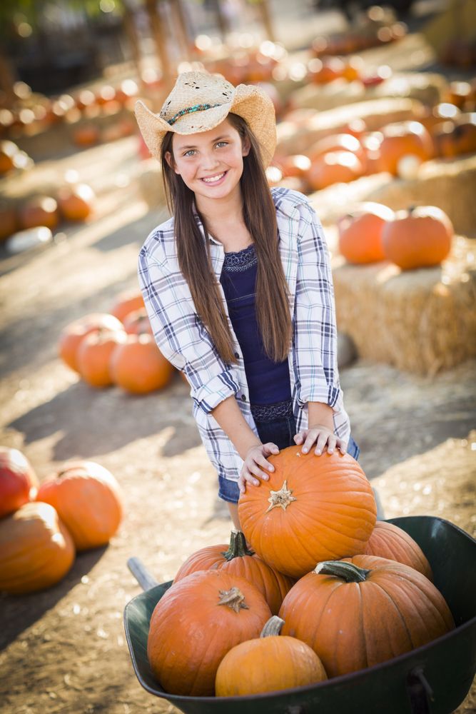 Preteen Girl Playing with a Wheelbarrow at the Pumpkin Patch.
