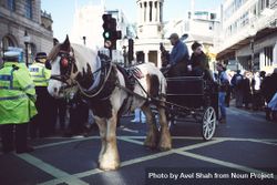 London, England, United Kingdom - March 19 2022: Horse and carriage going through London during prot 4N1PA5
