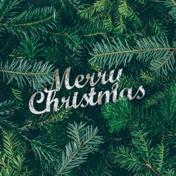 Christmas pine tree branches with the words “Merry Christmas”