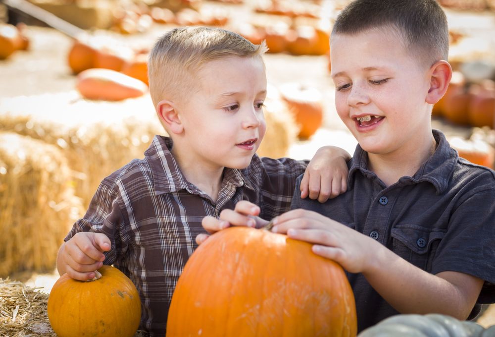 Two Boys Having Fun on an Autumn Day