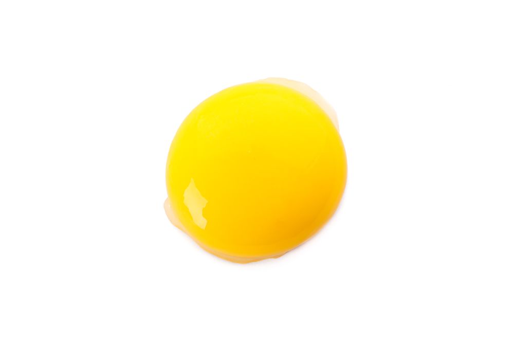 Raw egg yolk isolated on plain background
