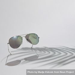 Aviator sunglasses with palm tree shadow 0Pe9r5