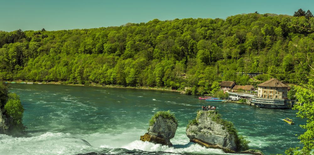 Rhine waterfall and green forest