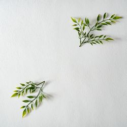 Layout made of green leaves and branches on light background