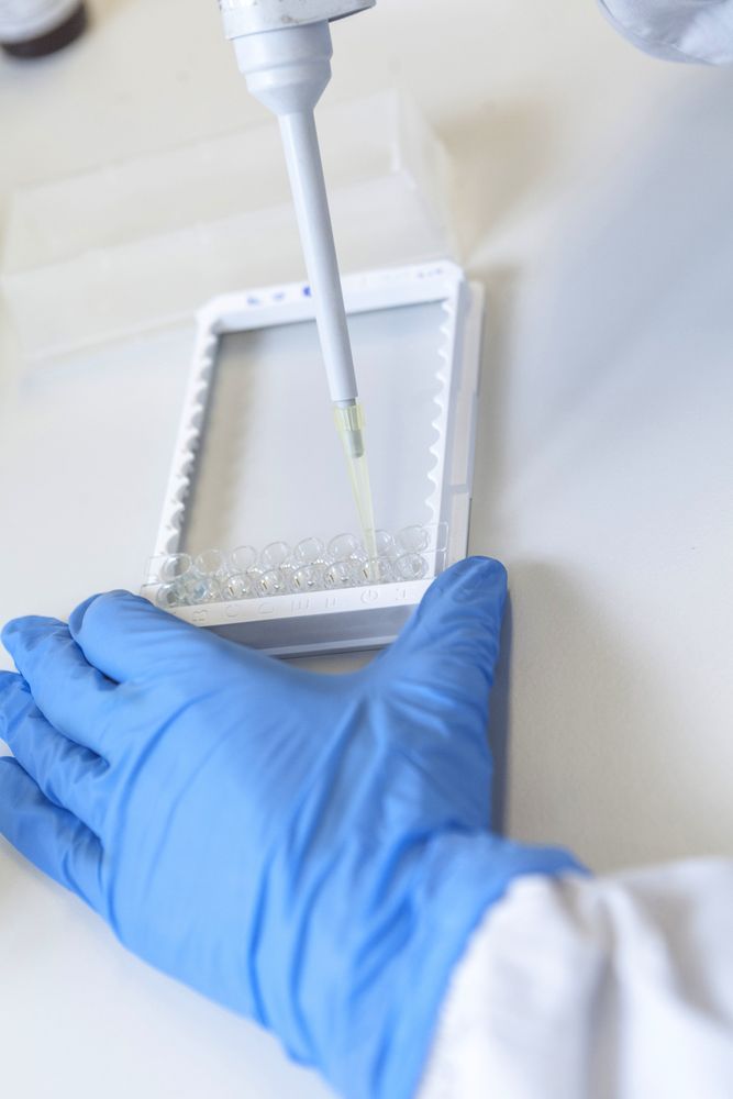Specialist in laboratory studying analyzes from monitor of device