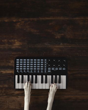 Dog playing MIDI keyboard