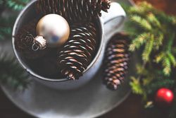 Top view of pine cones in mug