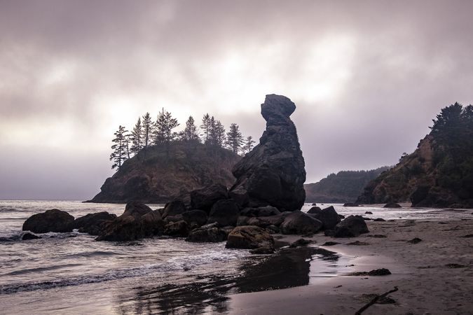 Rocks and trees on a rugged beach on overcast day