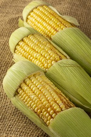 Green corn on the wooden table.