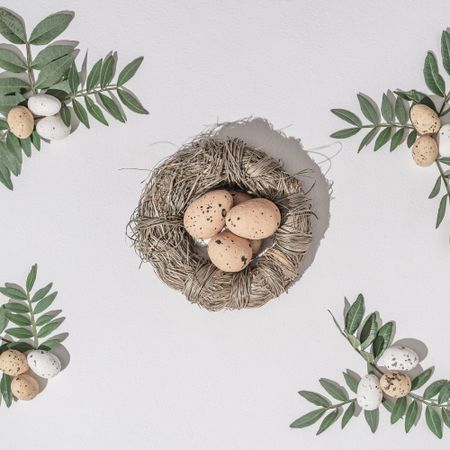 Nest with brown nest with green branches and brown eggs scattered on light  background