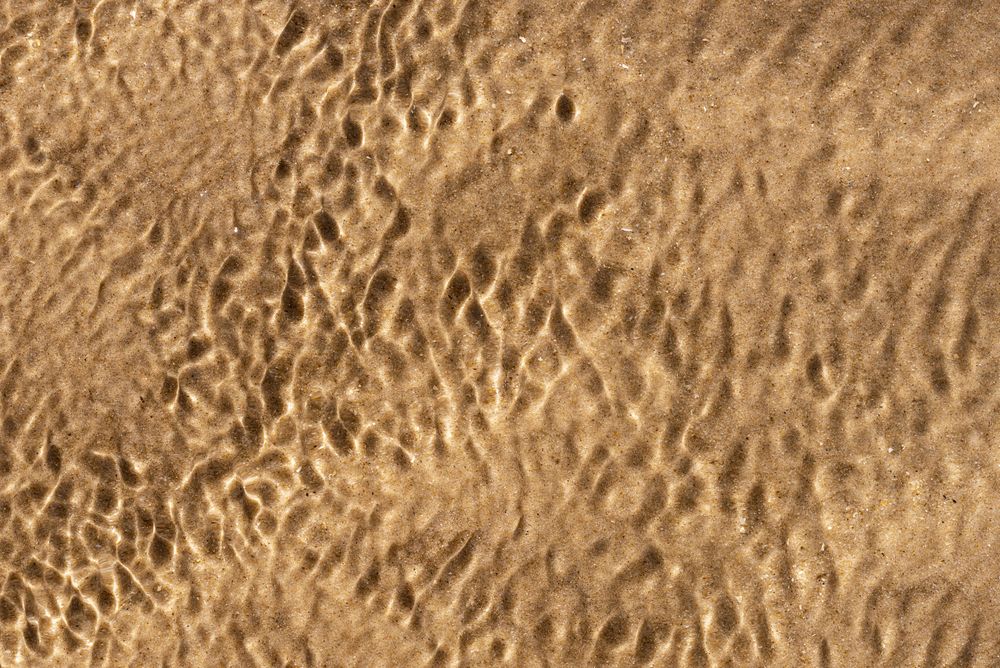 Sand underwater in the sunlight