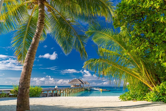 Pier on tropical beach