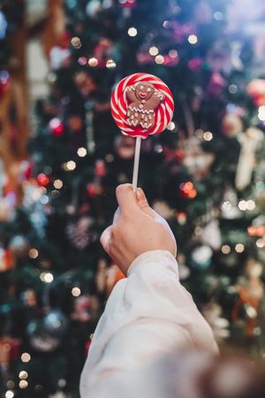 Cropped image of hand holding lollipop against Christmas tree