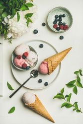 Summer food concept