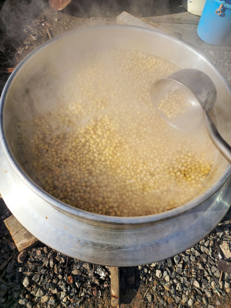 Boiling Yellow Soybeans in a Traditional Pot