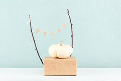Light mini pumpkin on podium
