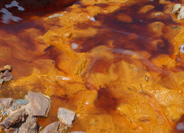 Bright orange splashes in nature