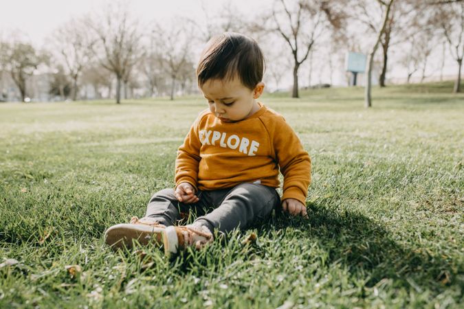 Toddler sitting in a field