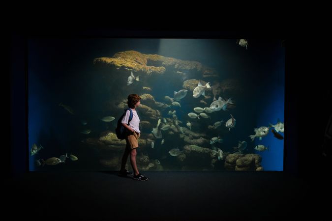 Kid watching marine fish in oceanarium