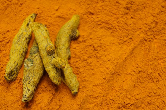 Fragrant seasoning - turmeric, one of the main ingredients in Indian curry