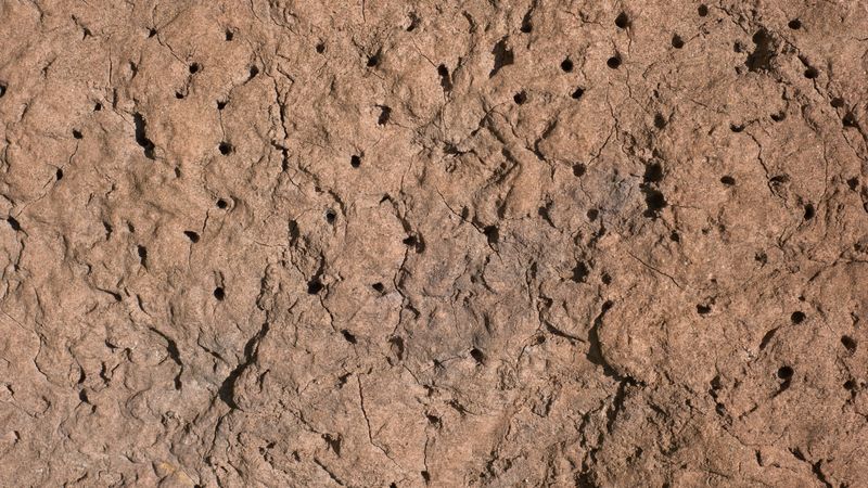 Cracked soil surface with holes and dry rough earthy texture
