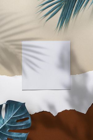 Tropical palm leaves and shadow on brown, beige and light torn paper with square center