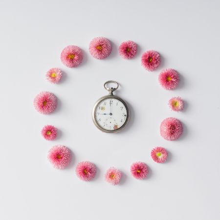 Circle of pink English daisy flowers with clock on light background