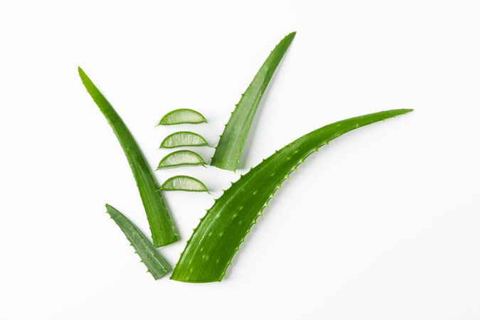 Aloe vera leaves and slices on plain background, space for text. Natural treatment