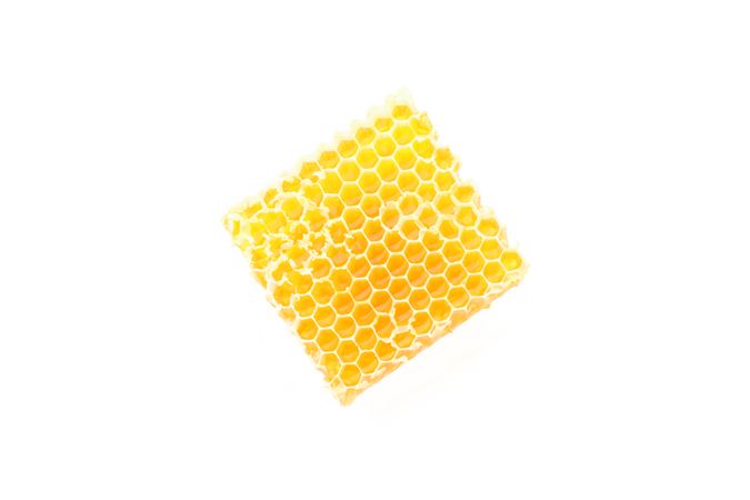 Piece of honeycomb isolated on blank background, top view