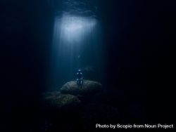 Person sitting on rock underwater 43VzP5
