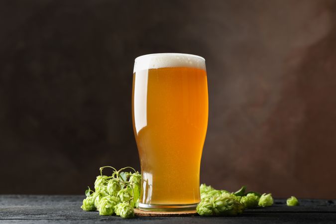Glass of beer and hop cones on wooden table, copy space