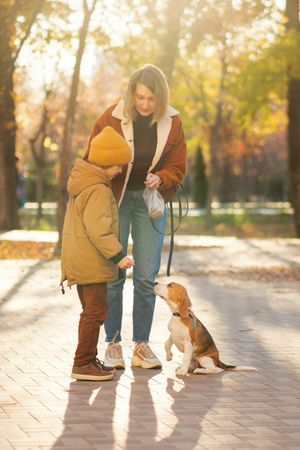 Family walks the dog