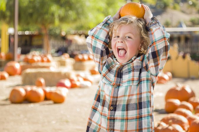 Little Boy Holding His Pumpkin at a Pumpkin Patch