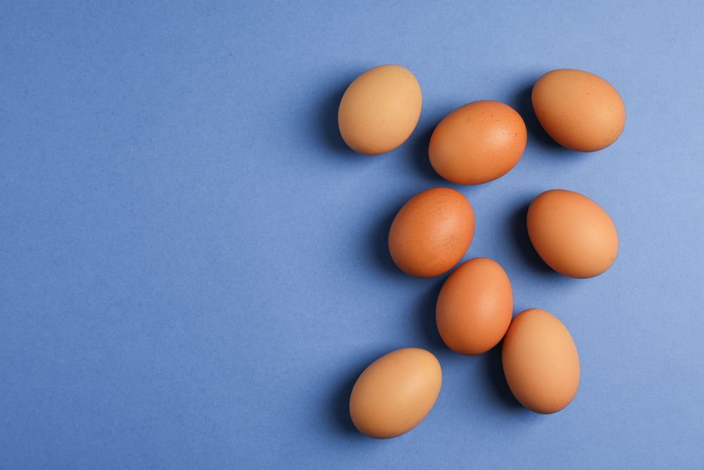 Chicken eggs on color background, space for text