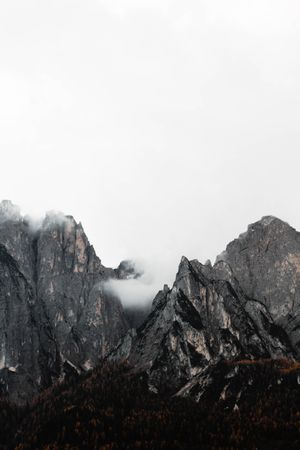 Big mountains near pine forest on cloudy weather