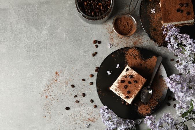 Composition with tasty tiramisu and lilac. Delicious dessert