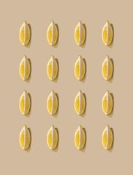 Pattern of lemon fruit slices and pastel sand background