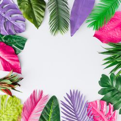 Multicolored tropical leaves on light background