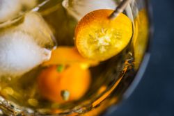Whiskies on the rocks with slice of kumquat fruit