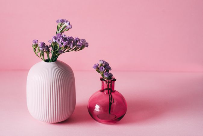Violet sea lavender flowers in a pink background