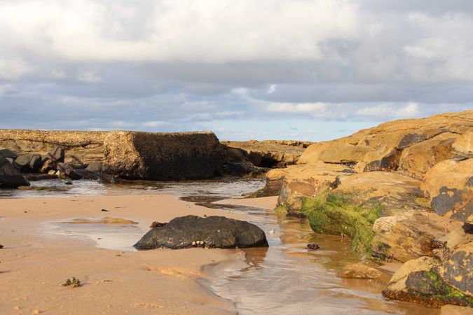 Rocky Beach With Calm Water And Overcast Sky At Low Tide