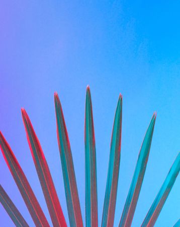 Palm leaf lit in bold neon  colors, on gradient blue to pink background
