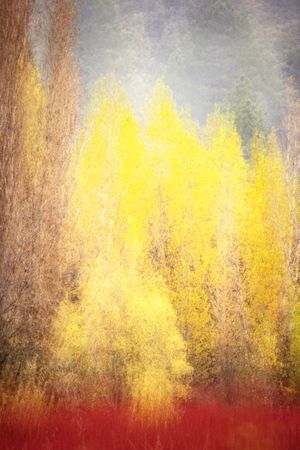 Blurred trees in green forest