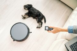 Dog owner using robotic vacuum cleaner with remote control
