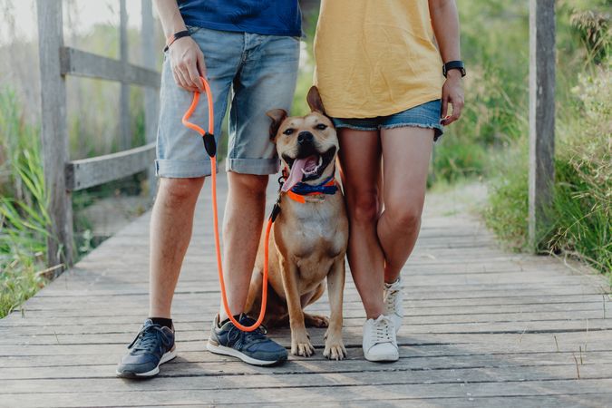 Happy adult couple playing with dog at countryside