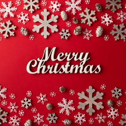 Snowflakes bordering red background with “Merry Christmas”