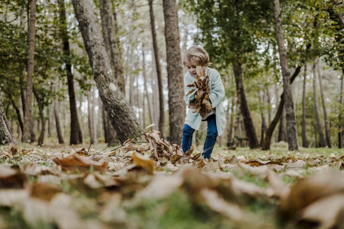 Girl with dry leaves between meadow in forest