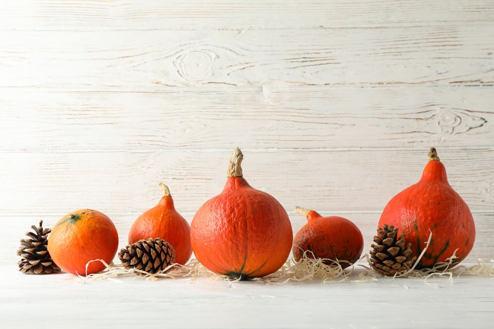 Pumpkins on wooden background, space for text