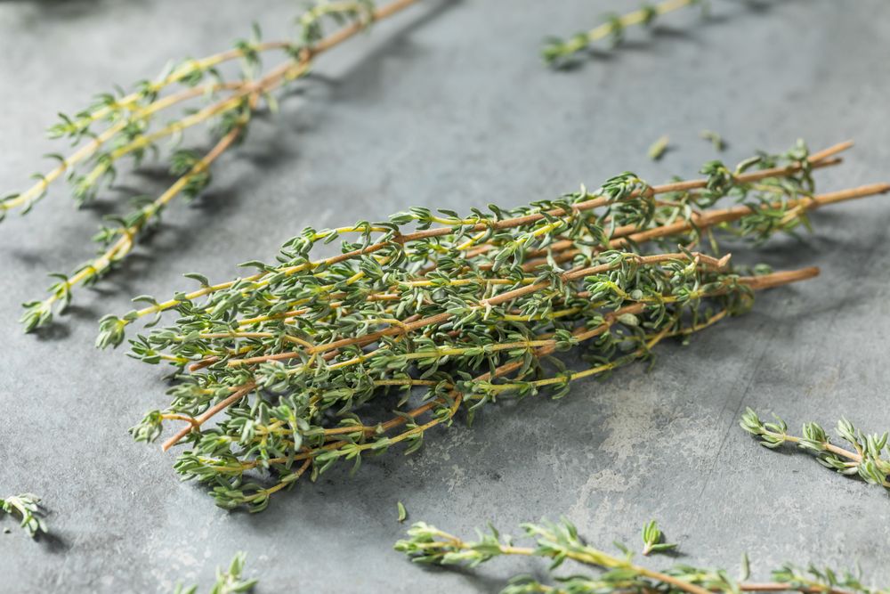Raw Green Organic Fresh Thyme